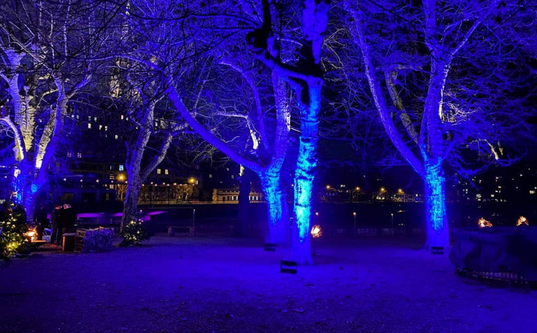 magische Beleuchtung am Aareufer